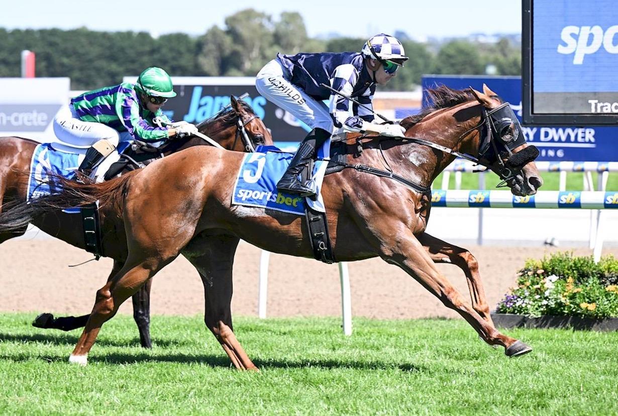 MILLI IS AN UP AND COMER